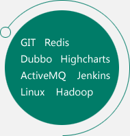 GIT Redis Dubbo Highcharts ActiveMQ Jenkins Kibana Linux Hadoop